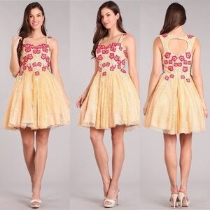 NEW! My Fashion Champagne Flower Embroidered Dress